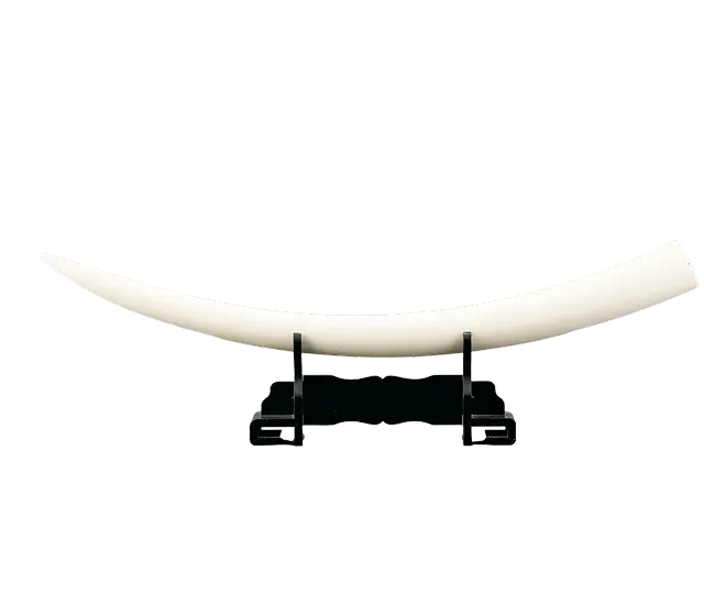 一本牙買取なら、専門店の日晃堂へ