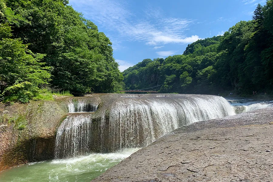 群馬県でブランド食器買取をお考えなら日晃堂