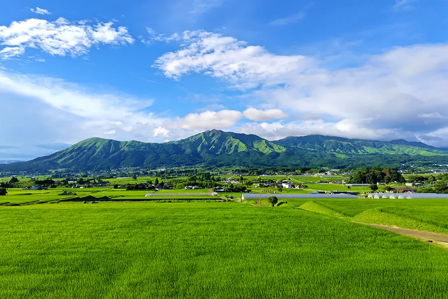 熊本県でブランド食器買取をお考えなら日晃堂