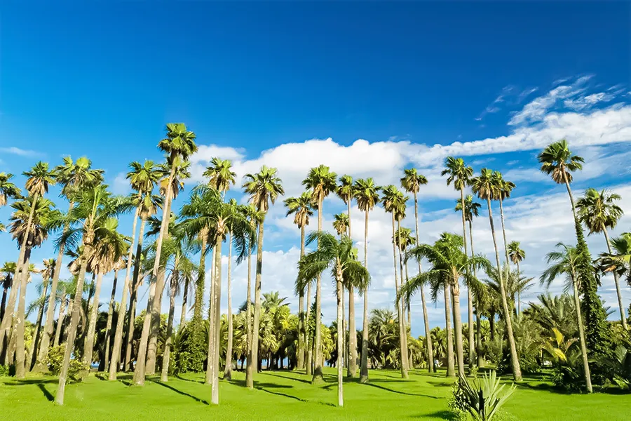宮崎県でブランド食器買取をお考えなら日晃堂