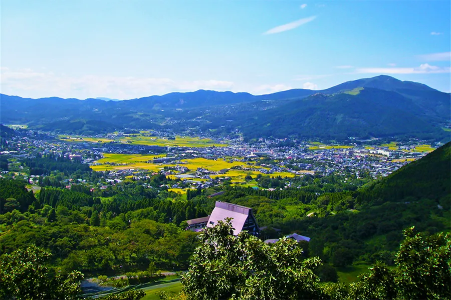 大分県でブランド食器買取をお考えなら日晃堂