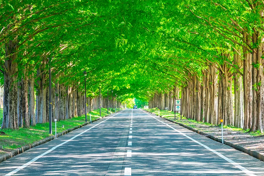 滋賀県でブランド食器買取をお考えなら日晃堂