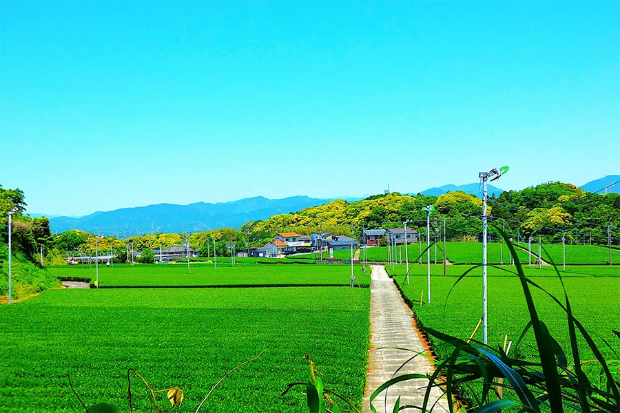 静岡県でブランド食器買取をお考えなら日晃堂