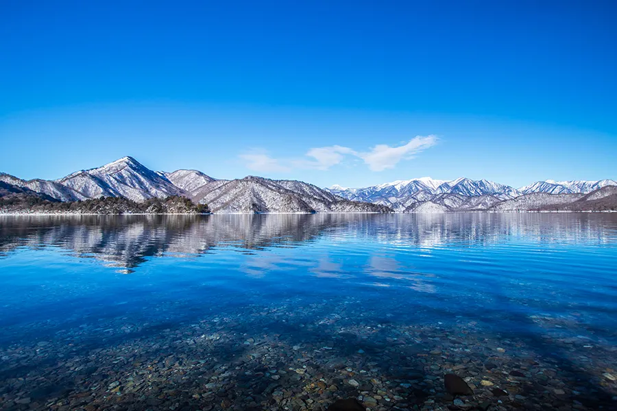 栃木県でブランド食器買取をお考えなら日晃堂