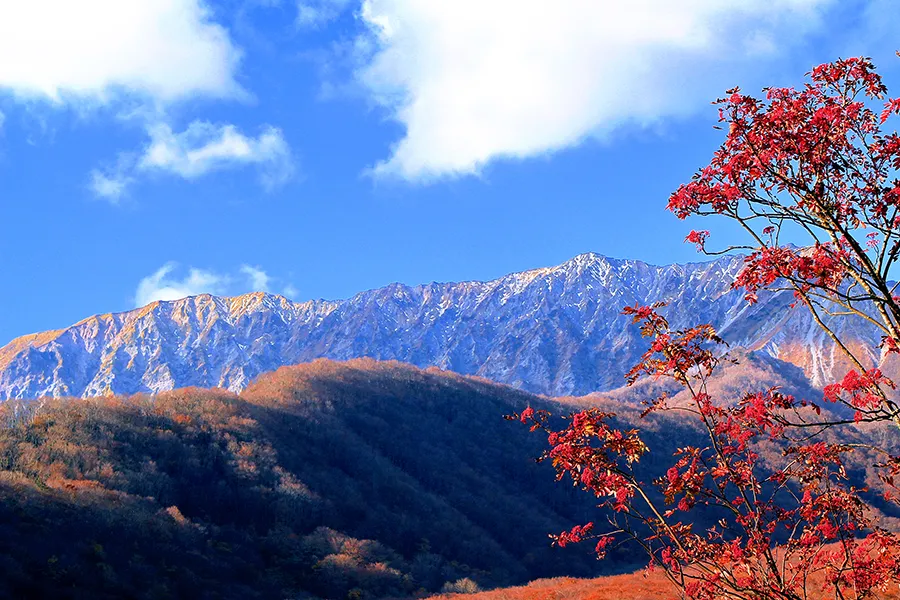 鳥取県でブランド食器買取をお考えなら日晃堂