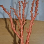 桃色珊瑚の原木をお買取
