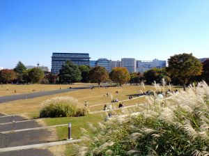 国営昭和記念公園