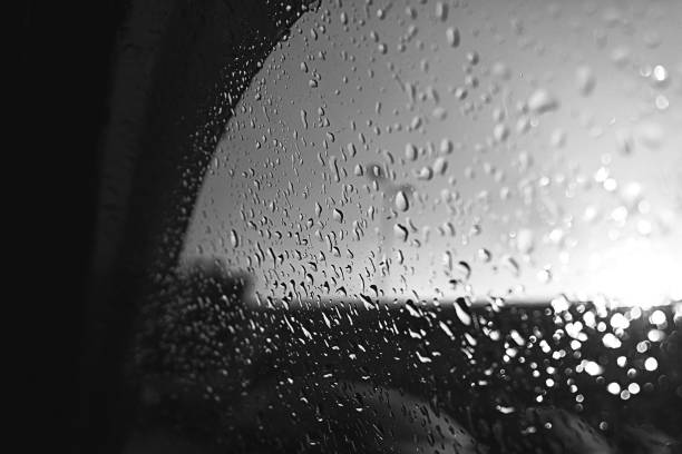 カメラの結露対策とは?湿気による故障を防ぐための保管方法を紹介