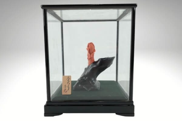 高知県（土佐）産宝石珊瑚の価値は？種類別の買取相場や高品質なものの見分け方などを解説