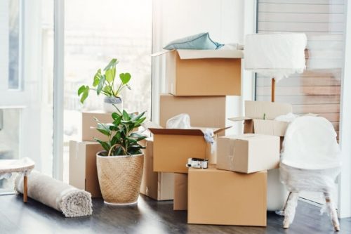 引越し時の美術品処分｜リサイクルショップはNG？専門家が教える賢い手放し方
