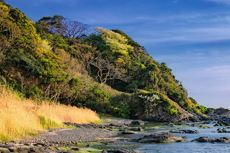 神奈川県