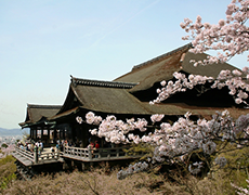 京都府イメージ