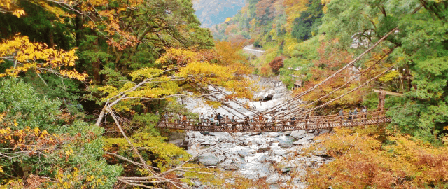 徳島県