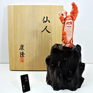 珊瑚の保管