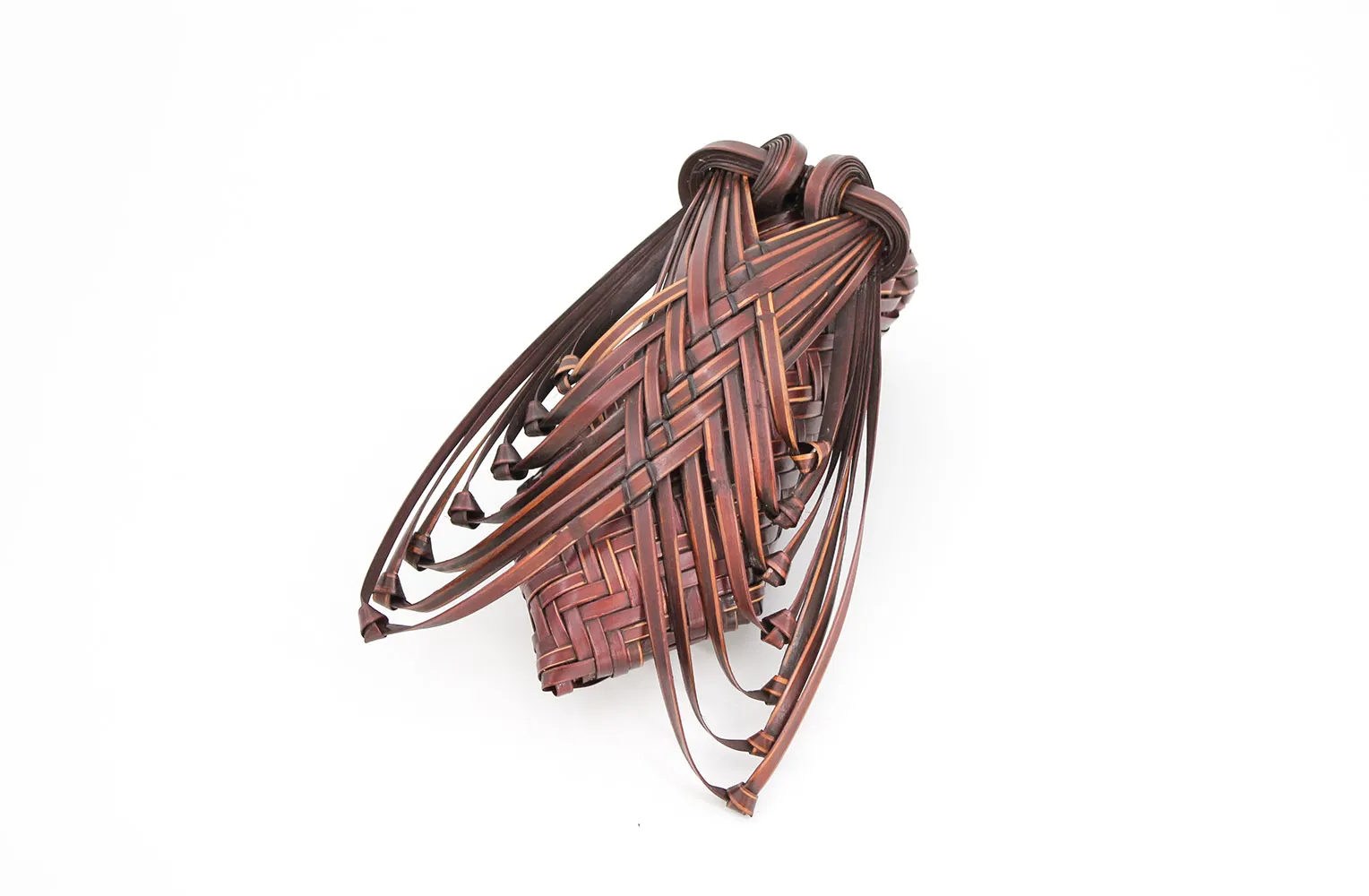 本間一秋　蝉篭