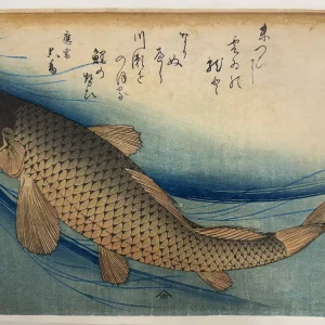 歌川広重 鯉