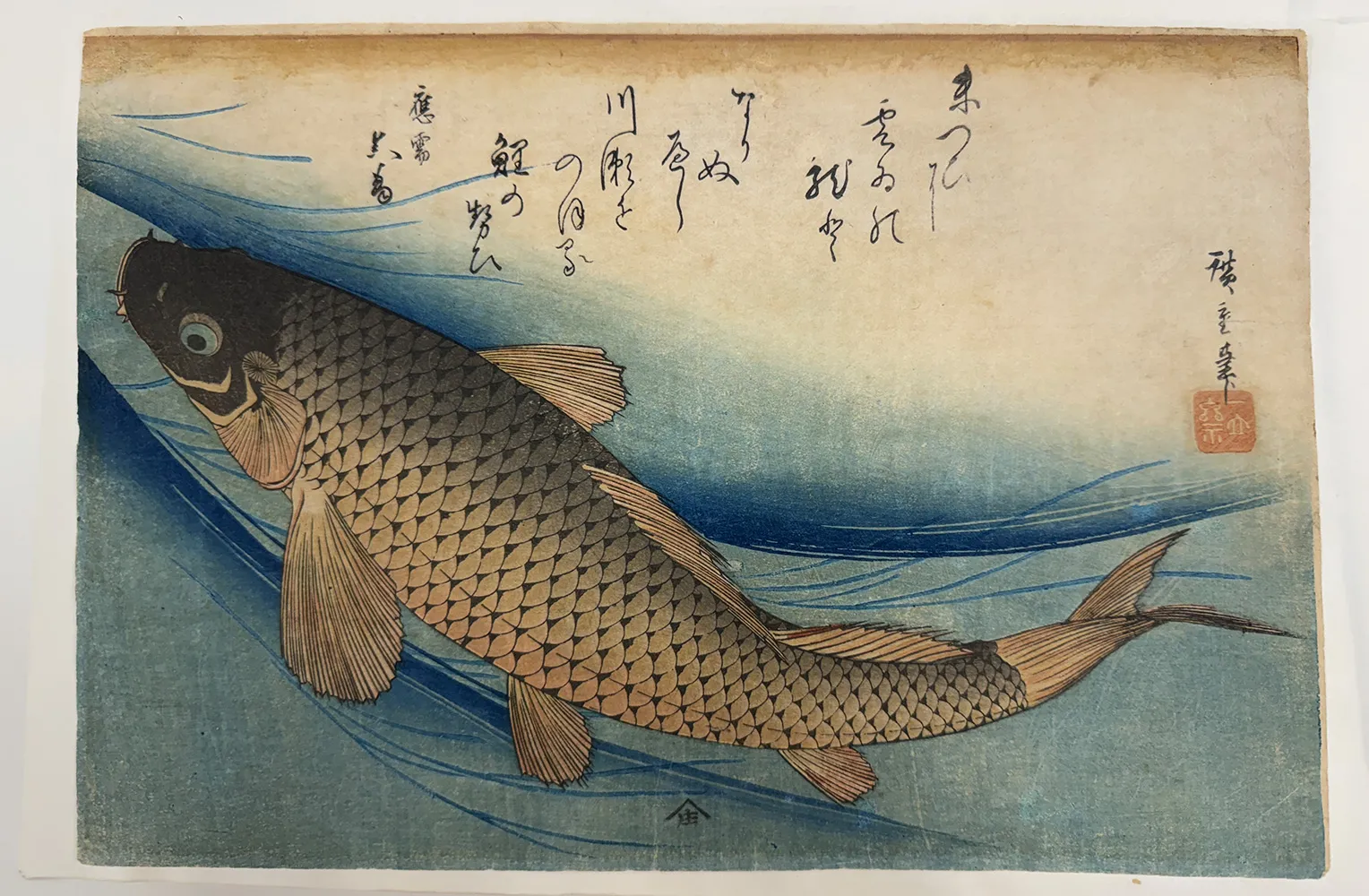歌川広重 鯉